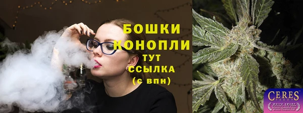 Альфа ПВП Протвино