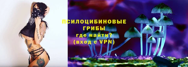 mdpv Киреевск