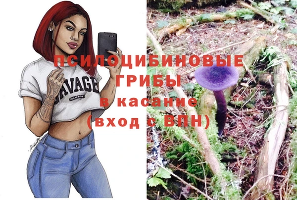 ешки Пролетарск